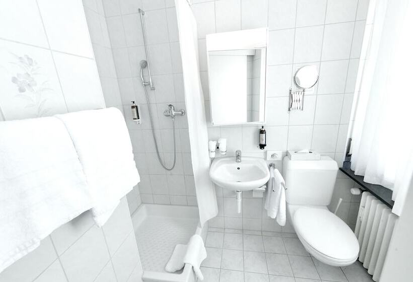 Balegra City Hotel Basel Contactless Self Check In