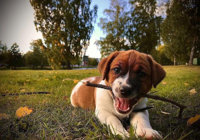 Отель Best Western Savoy Karlstad