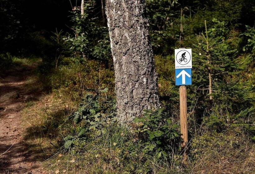 ホテル Billingehus