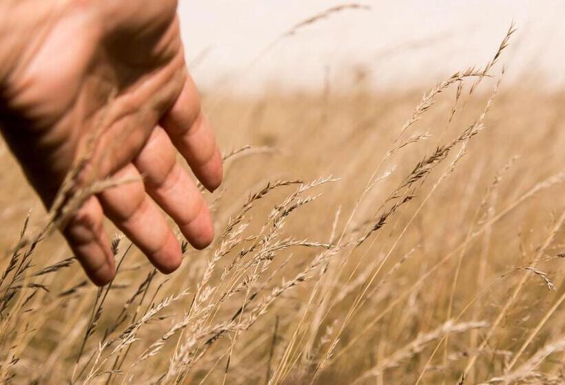 ホテル Billingehus