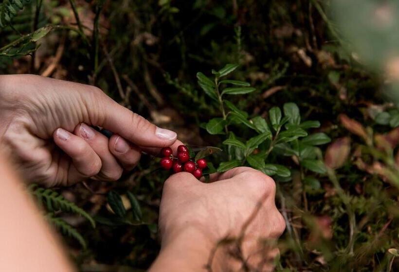 ホテル Billingehus