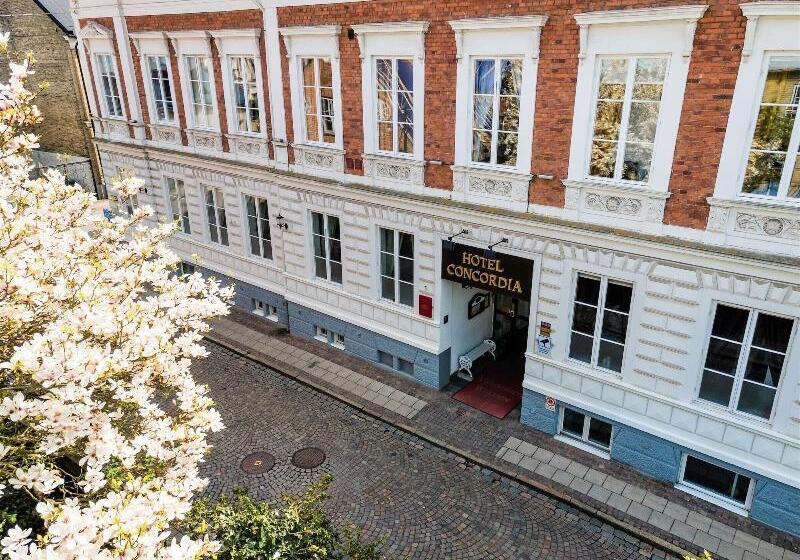 בית מלון כפרי Concordia