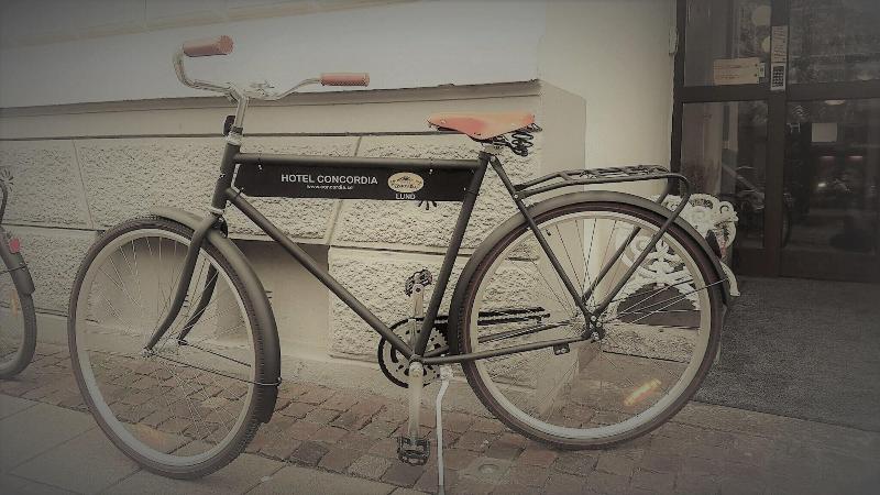 בית מלון כפרי Concordia