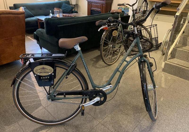 בית מלון כפרי Concordia