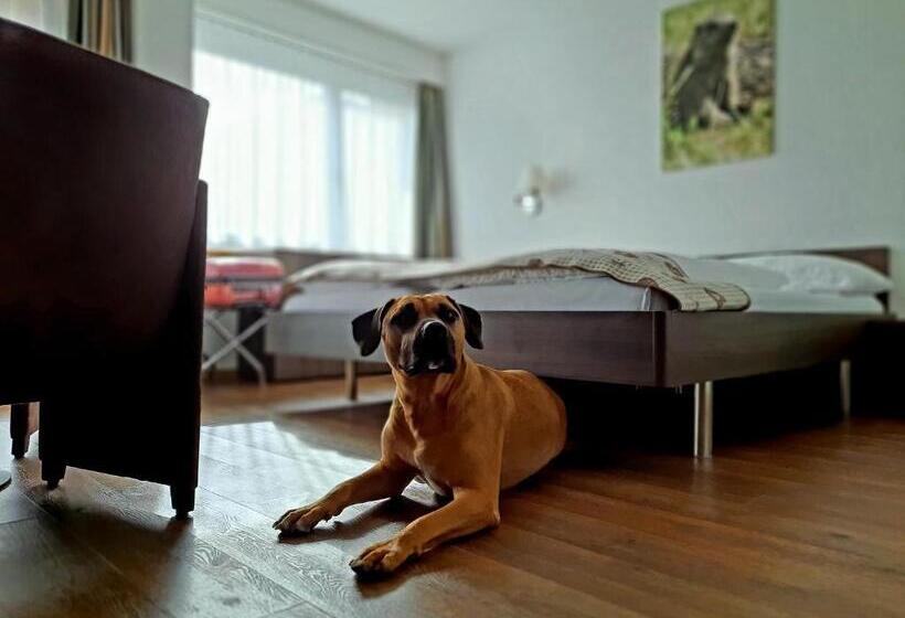 ホテル Crystal Interlaken