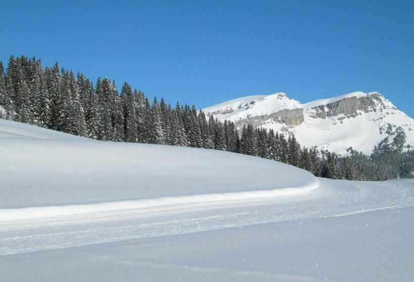 ホテル Crystal Interlaken