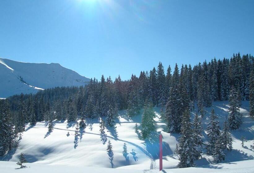 ホテル Crystal Interlaken