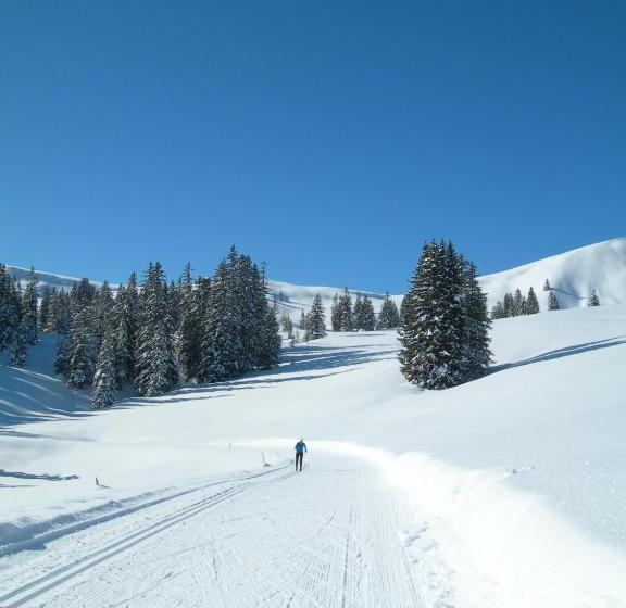 ホテル Crystal Interlaken