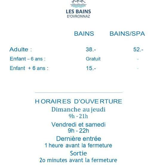 酒店 Des Bains D Ovronnaz