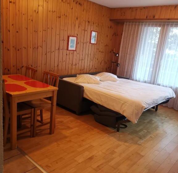 酒店 Des Bains D Ovronnaz