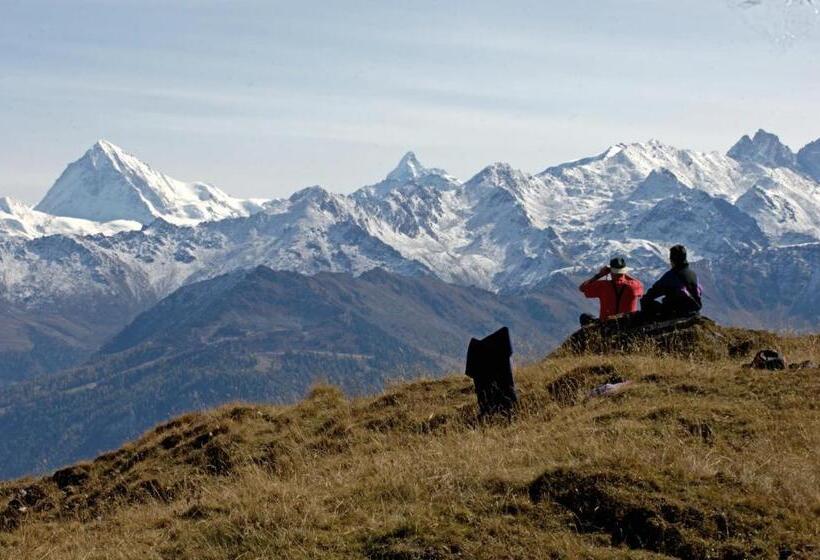 酒店 Des Bains D Ovronnaz