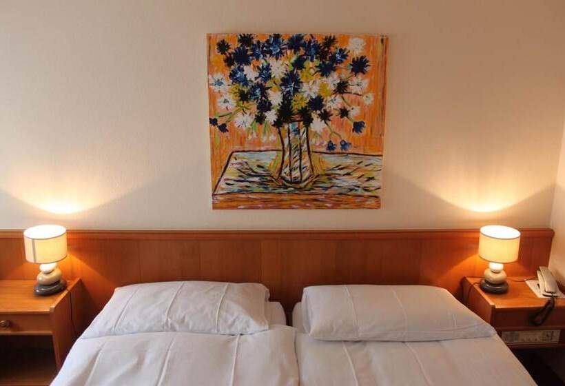 호텔 Hôtel Des Trois Rois