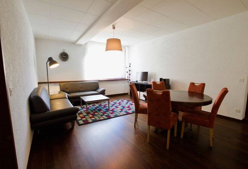 Отель Hôtel Du Rhône