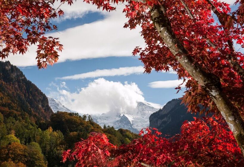 酒店 Jungfrau