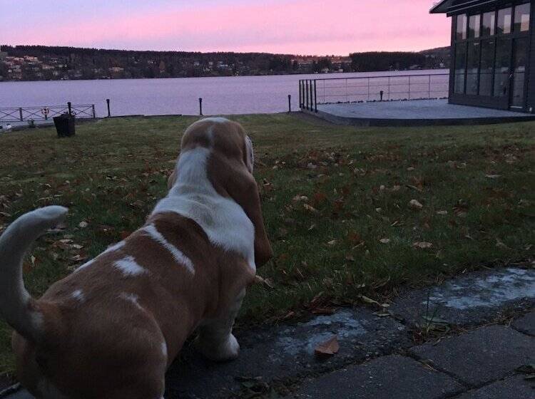 ホテル L Ostersund