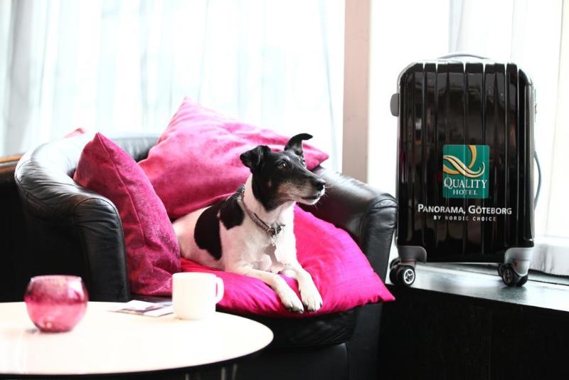 Comfort Hotel Panorama