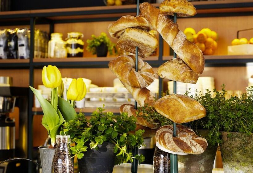 בית מלון כפרי Scandic Continental