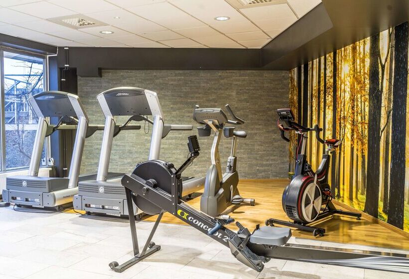 Отель Scandic Elmia