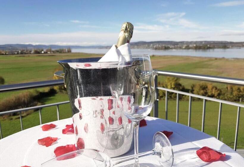 ホテル Seedamm Plaza