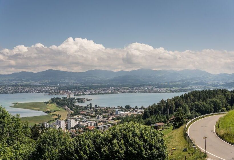 ホテル Seedamm Plaza