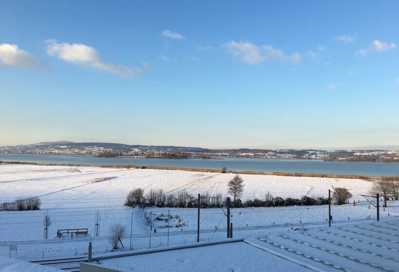 ホテル Seedamm Plaza