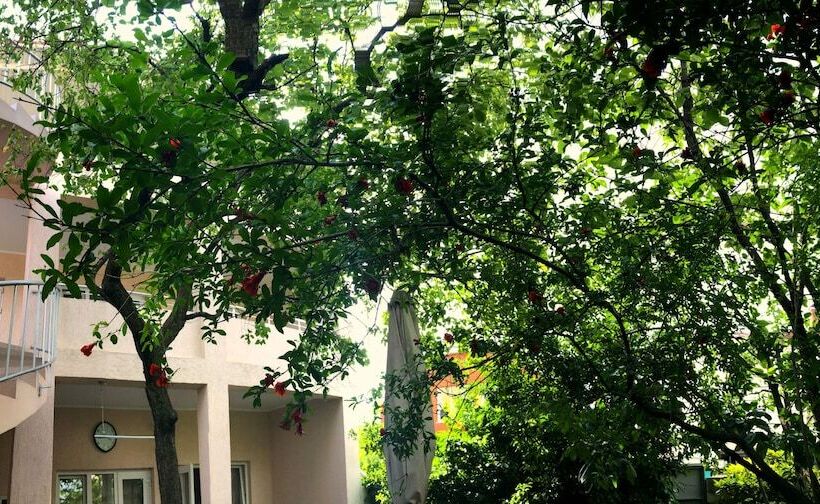 تختخواب و صبحانه Abrikos