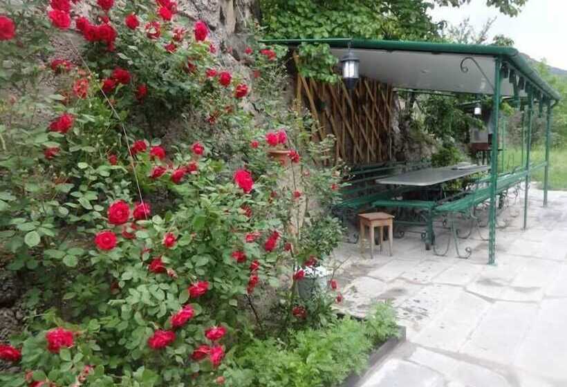 مبيت وإفطار Iris Mini