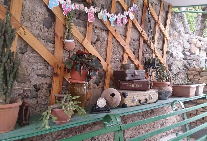 مبيت وإفطار Iris Mini