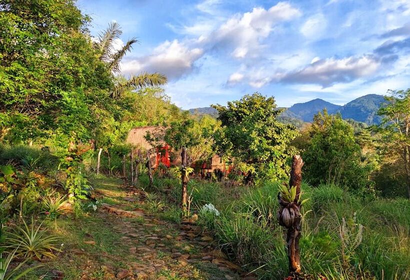 تختخواب و صبحانه Sten Lodge Eco Homestay