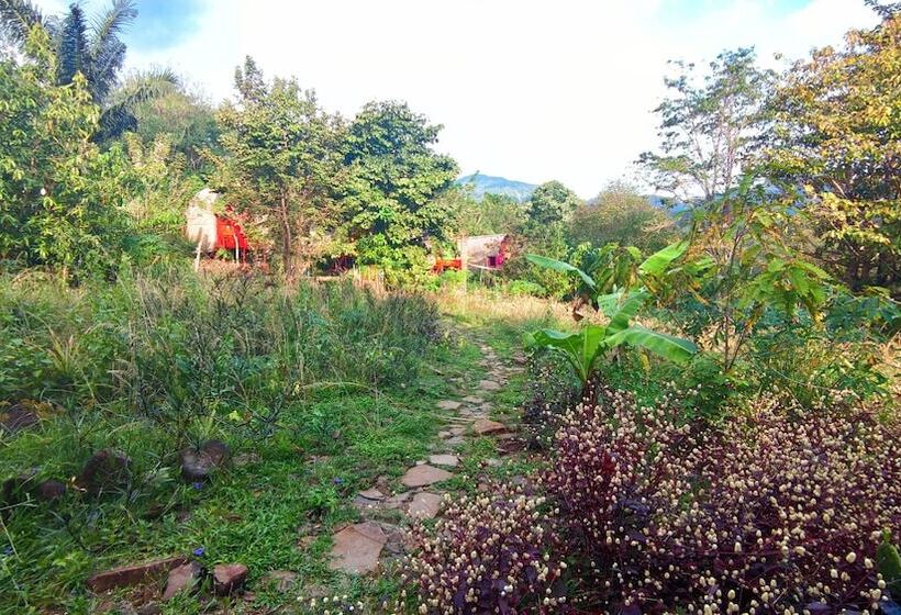 مبيت وإفطار Sten Lodge Eco Homestay