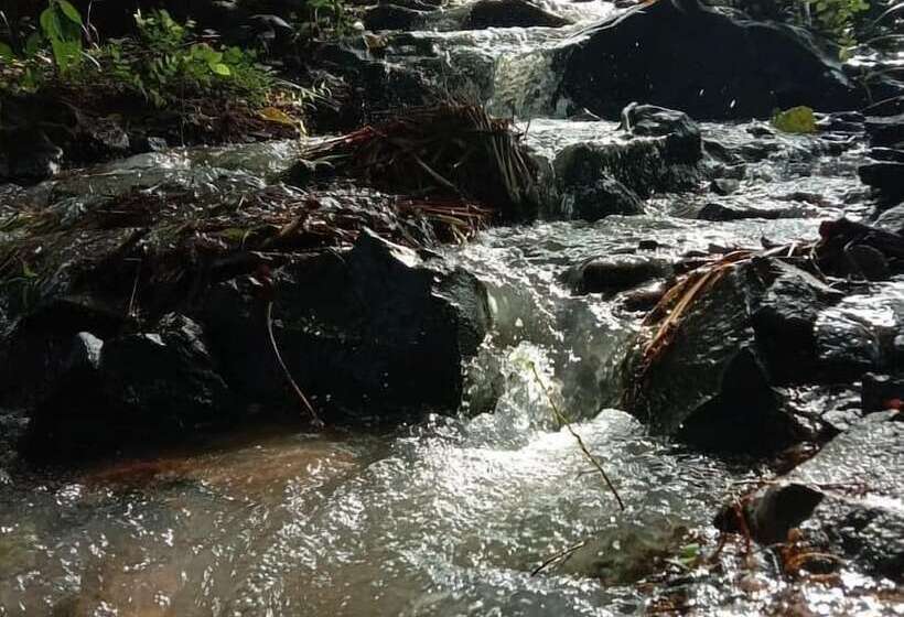 مبيت وإفطار Sten Lodge Eco Homestay