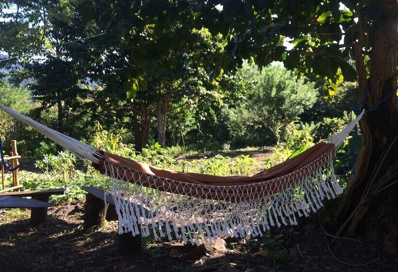 مبيت وإفطار Sten Lodge Eco Homestay