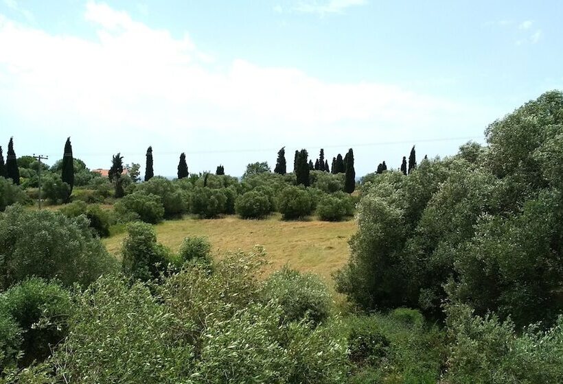 Casa De Rosa Apartments & Studios