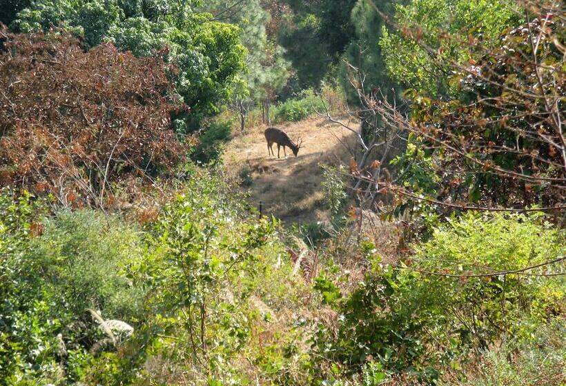 בית מלון כפרי Auranya The Mystical Himalayan Retreat