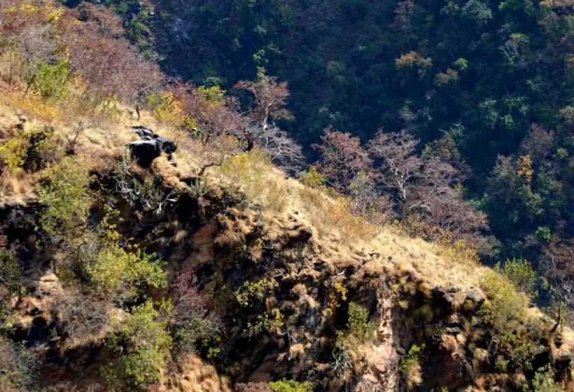 בית מלון כפרי Auranya The Mystical Himalayan Retreat