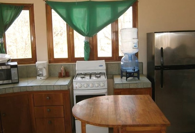 ホテル Green Acres Guesthouse