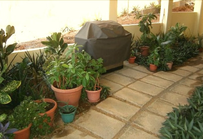 ホテル Green Acres Guesthouse