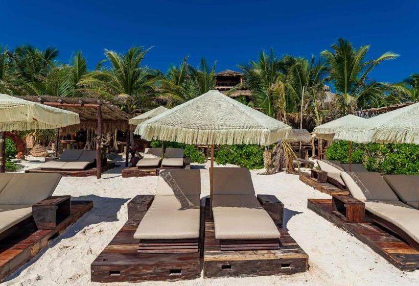 هتل Kanan Tulum Treehouse, Rooftop, Beach Club & Spa   Adults Only