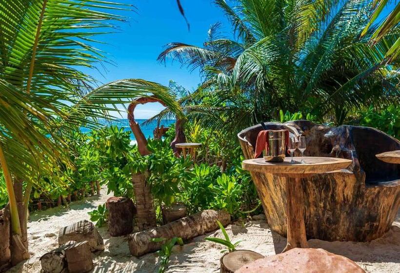 هتل Kanan Tulum Treehouse, Rooftop, Beach Club & Spa   Adults Only