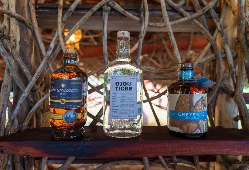 هتل Kanan Tulum Treehouse, Rooftop, Beach Club & Spa   Adults Only