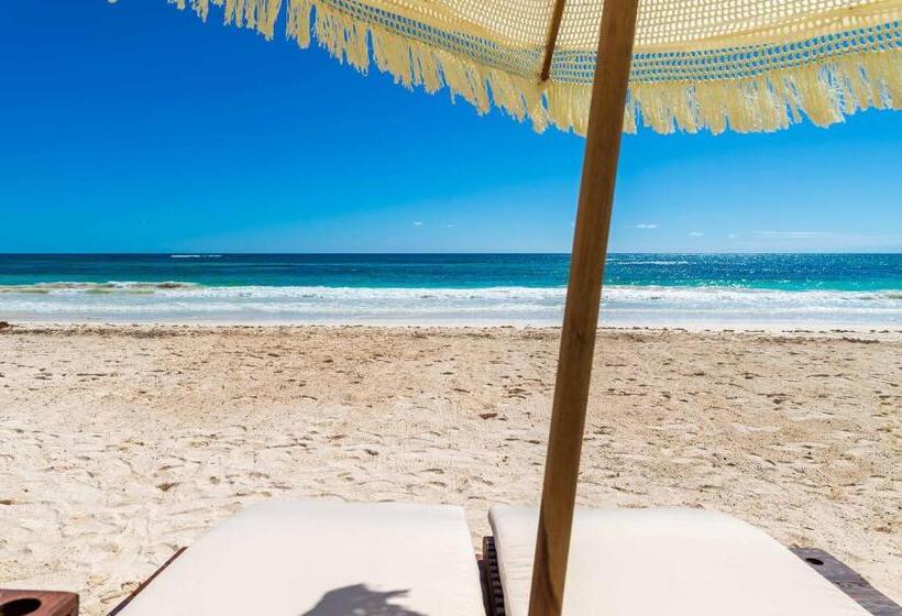 هتل Kanan Tulum Treehouse, Rooftop, Beach Club & Spa   Adults Only