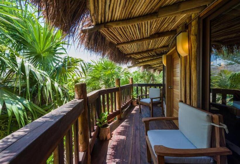 هتل Kanan Tulum Treehouse, Rooftop, Beach Club & Spa   Adults Only