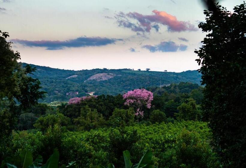 ホテル Masasana’s Rest