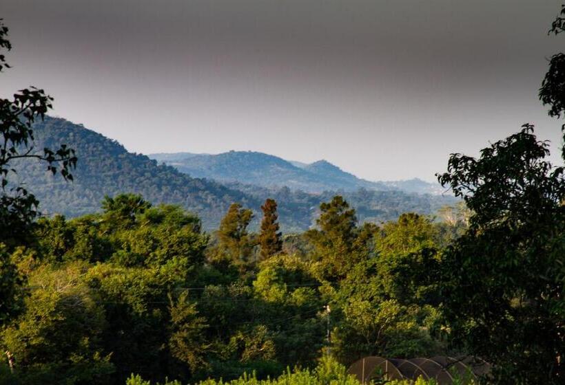 ホテル Masasana’s Rest