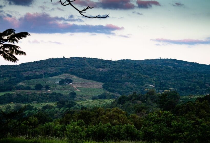 ホテル Masasana’s Rest