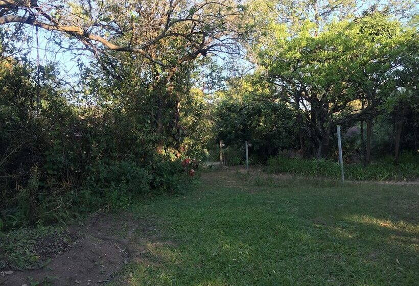 ホテル Masasana’s Rest