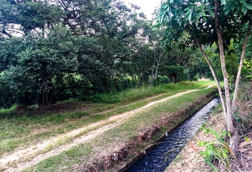 ホテル Masasana’s Rest