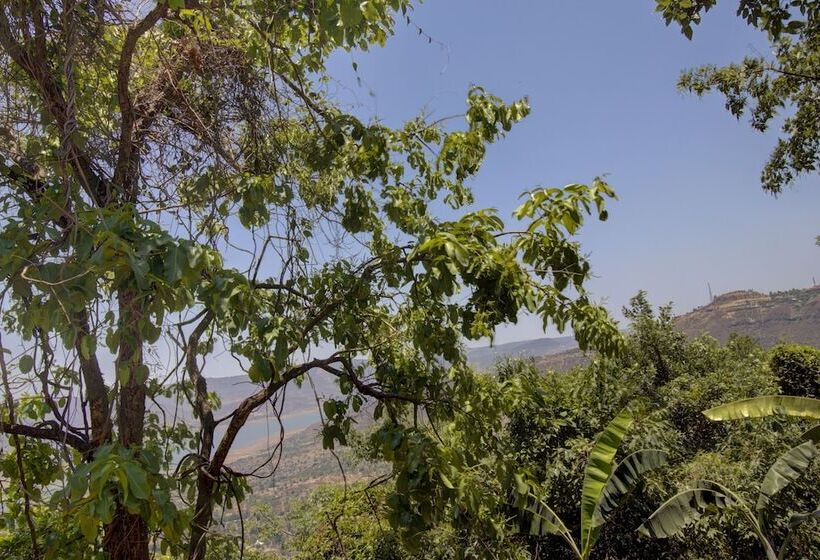 Hotel Rainforest Villa