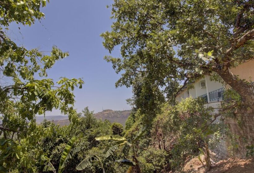 Hotel Rainforest Villa