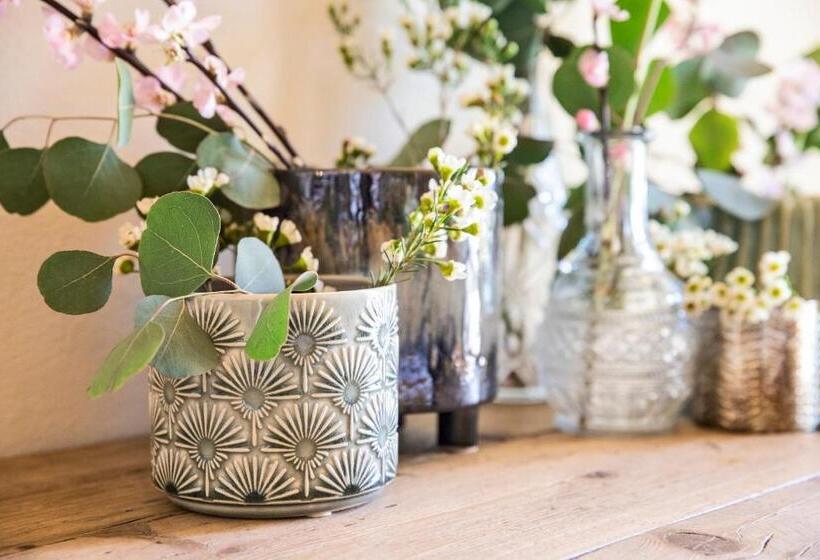 田舎風ホテル Capanna Suites